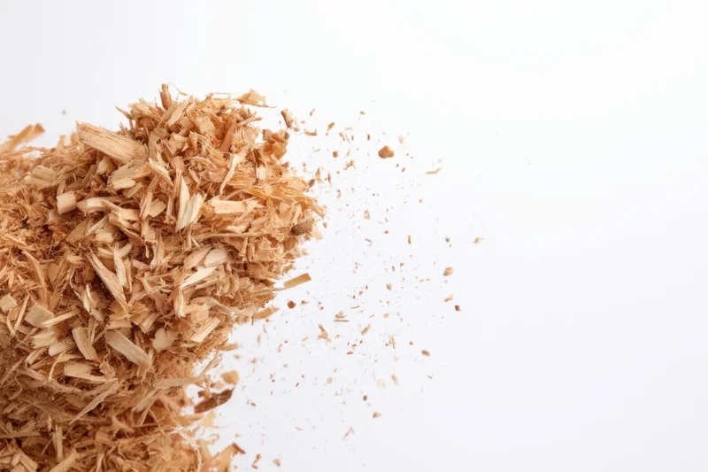 Wood shavings piled on white background with scattered fragments and copyspace