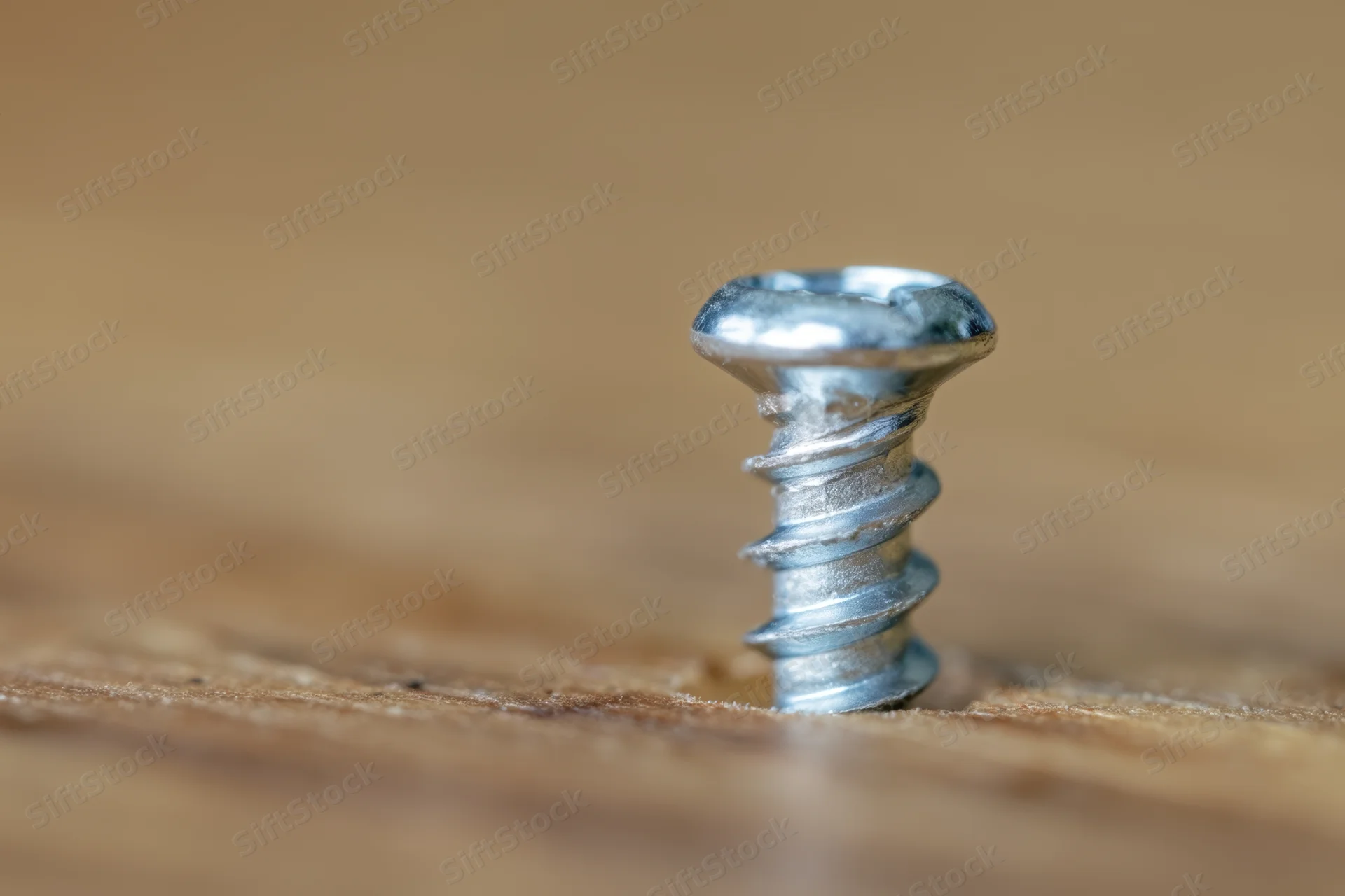Metal screw embedded in wooden surface with shallow depth of field