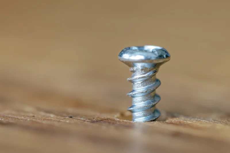 Metal screw embedded in wooden surface with shallow depth of field