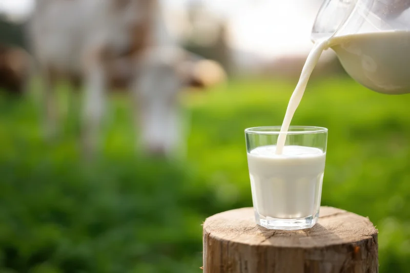 Milk being poured into a glass on a wooden stump in a green pasture with cows in the background