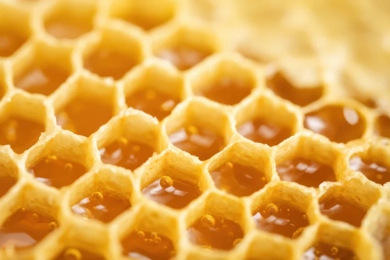 Honeycomb structure with hexagonal cells filled with golden honey, close-up view