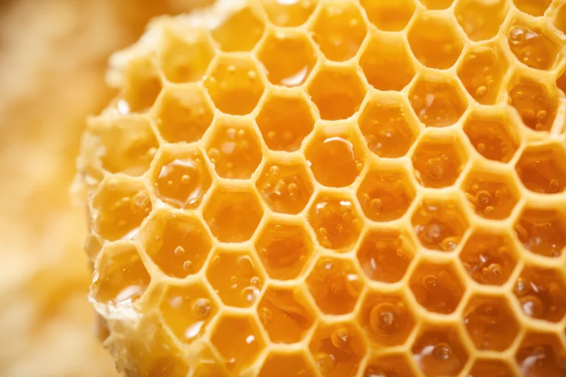 Closeup of a honeycomb structure filled with golden honey, showing tightly arranged hexagonal cells made of beeswax