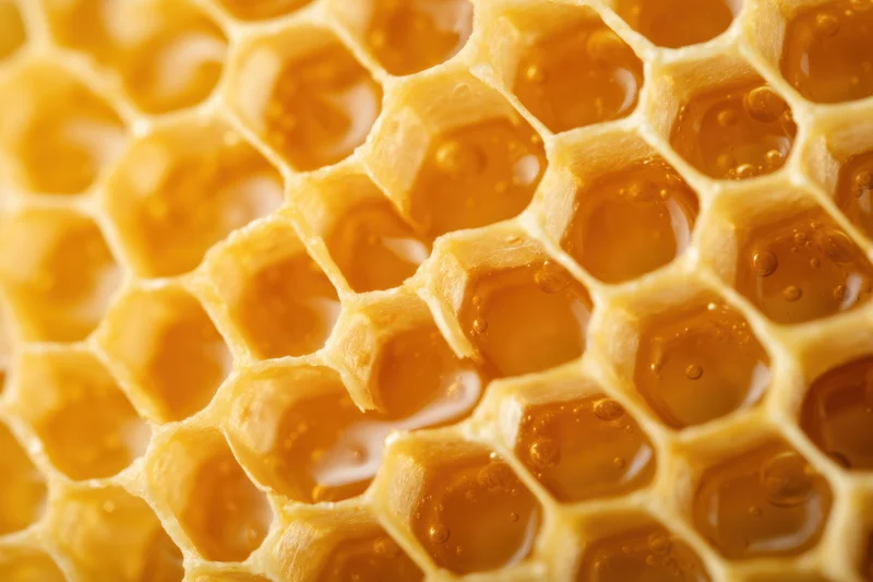 Honeycomb structure with hexagonal cells filled with golden honey, close-up view