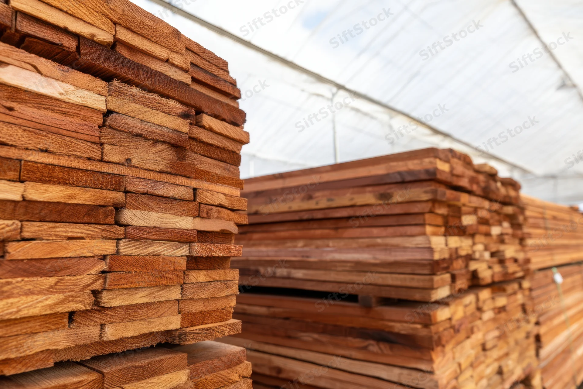 Stacks of lumber arranged in rows under a translucent roof at a storage facility