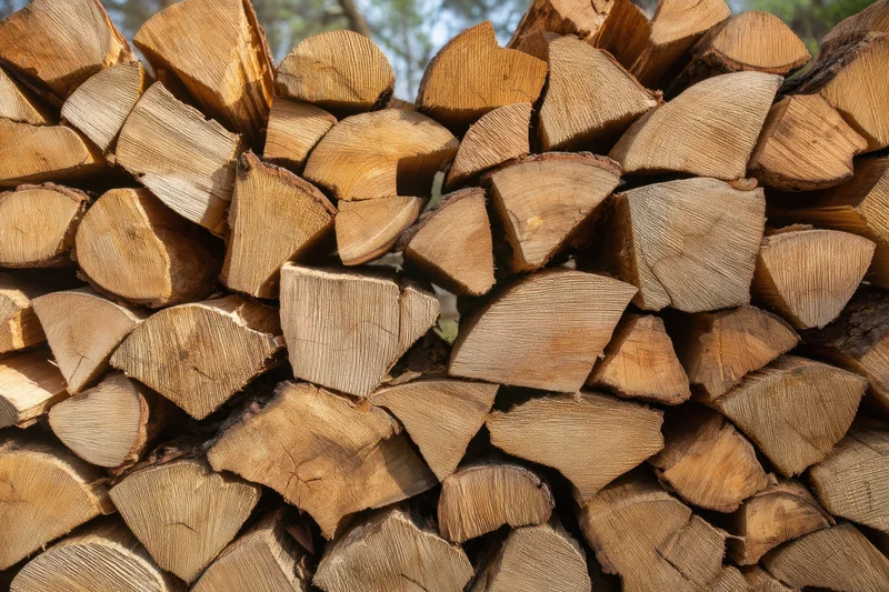 Neatly stacked pile of cut firewood logs outdoors in a rural yard
