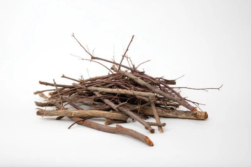 Pile of dry twigs and branches arranged on a white background