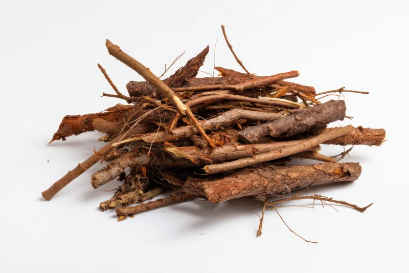 Pile of dry tree branches and twigs arranged on white background