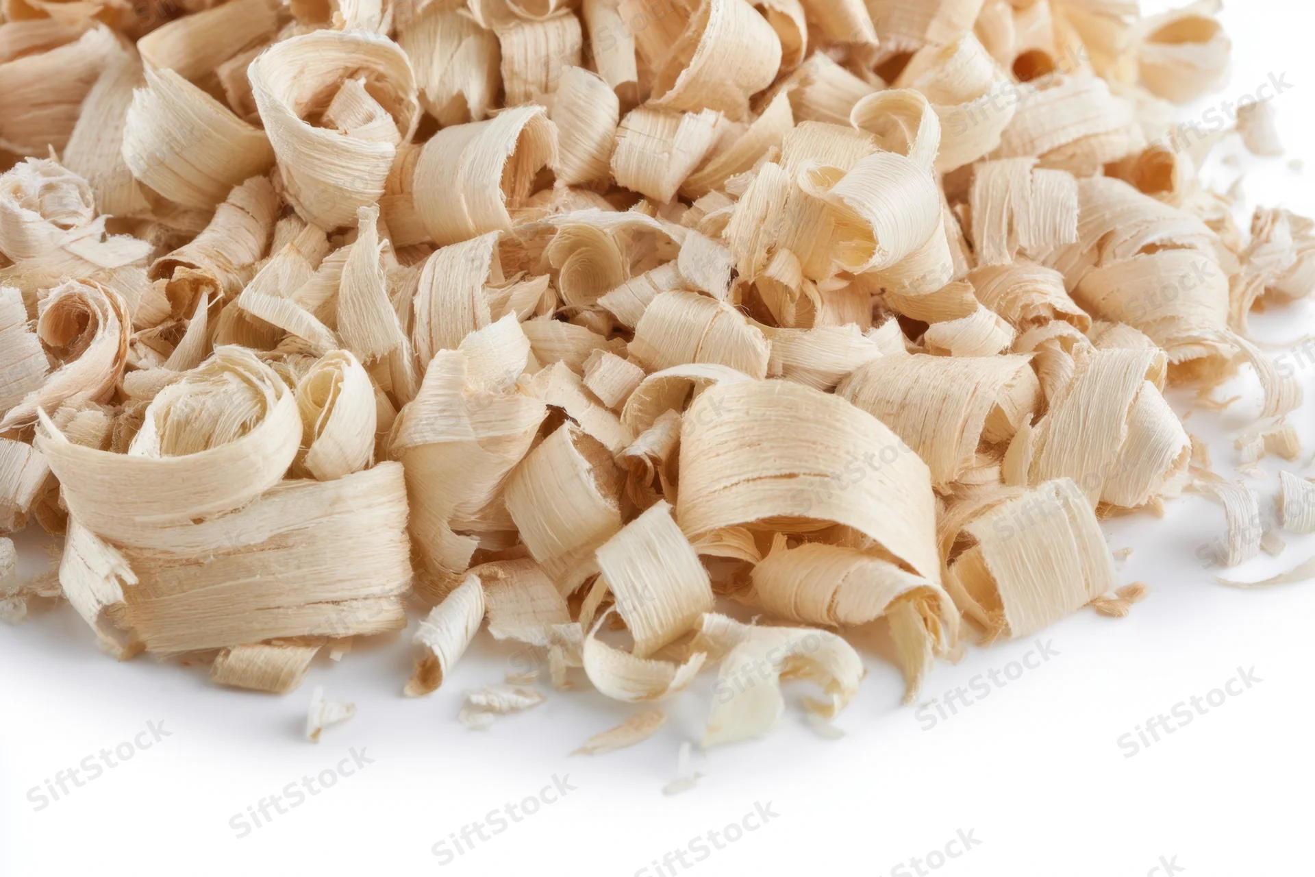 A pile of curled and layered wood shavings on a white background