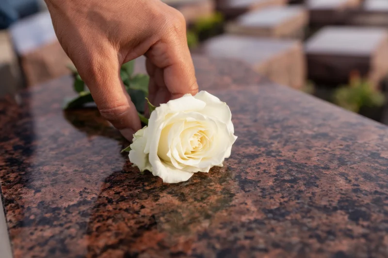Hand placing a white rose on a granite tombstone in a cemetery