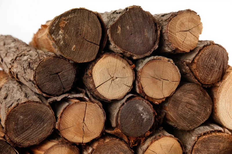 Stack of chopped wood logs with rough bark and visible grain, arranged in a pile against a white background