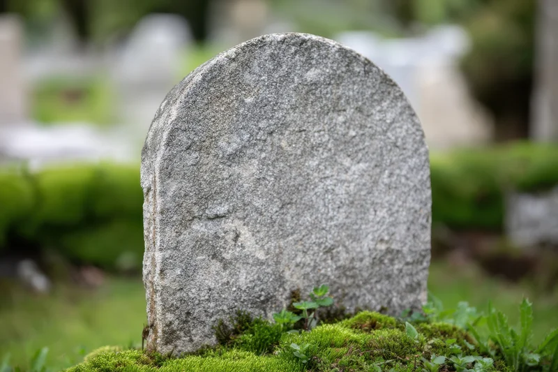 Weathered gray tombstone standing upright in a moss-covered cemetery