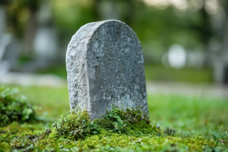 Weathered gray tombstone standing upright in a mossy cemetery lawn