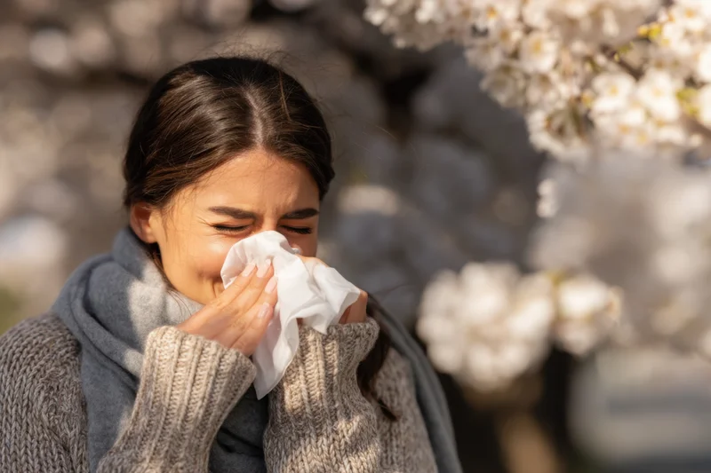 Woman sneezing into tissue outdoors near blooming cherry blossoms in spring