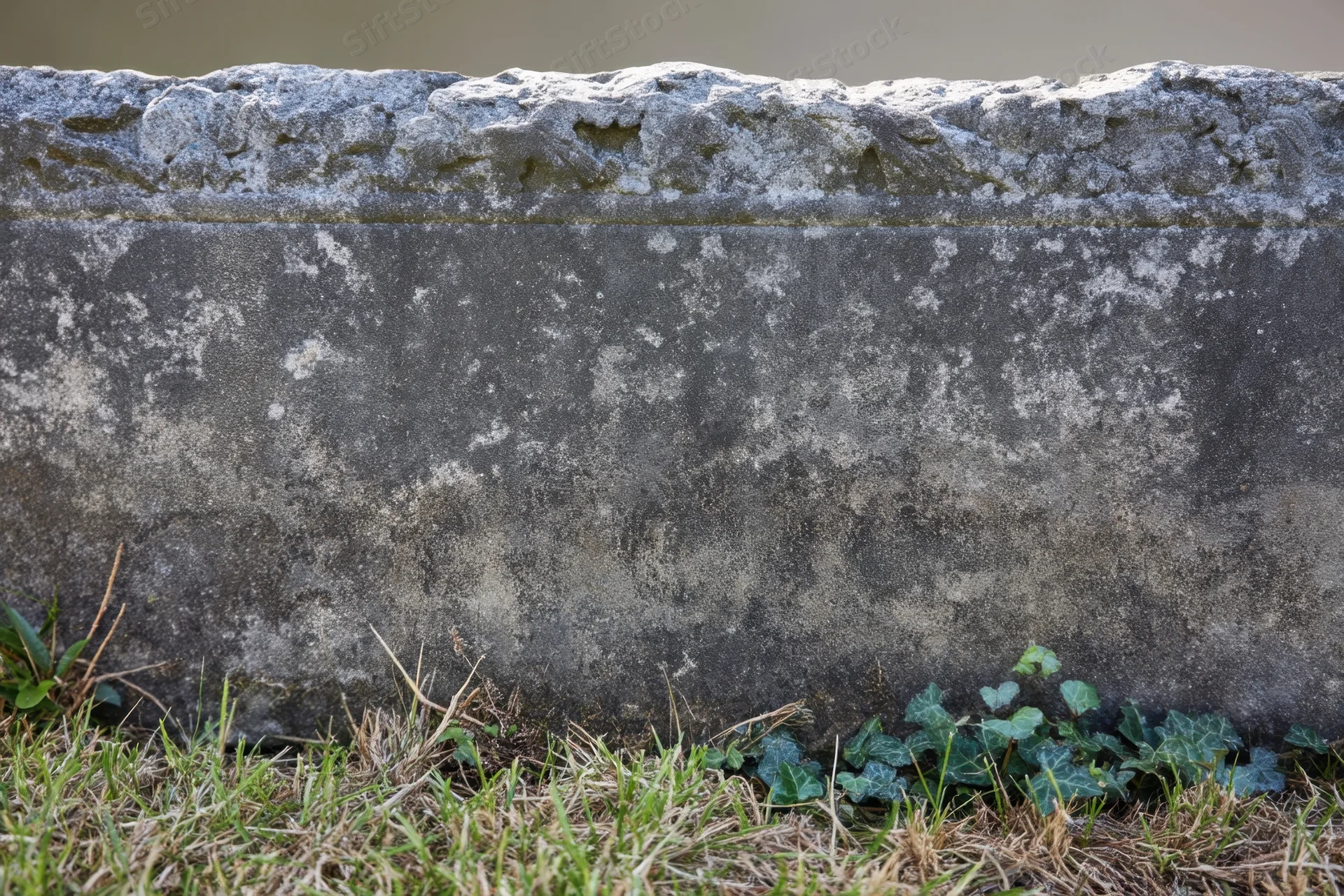 Weathered gravestone with moss and ivy at its base in a grassy cemetery setting