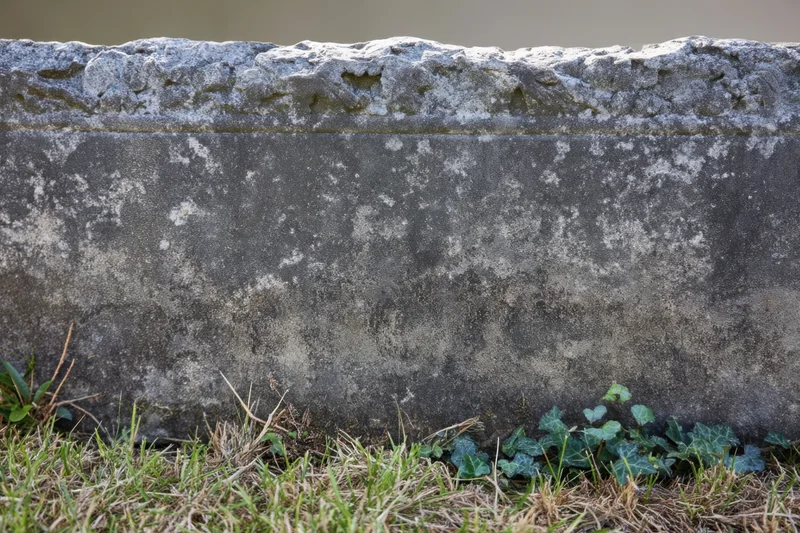 Weathered gravestone with moss and ivy at its base in a grassy cemetery setting