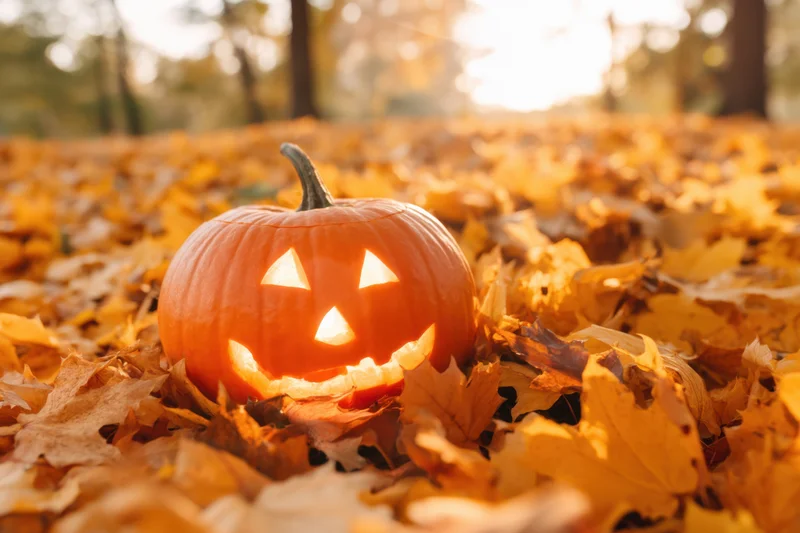 Glowing jack-o-lantern carved with triangular eyes and toothy grin resting on a bed of fallen autumn leaves in a forest clearing