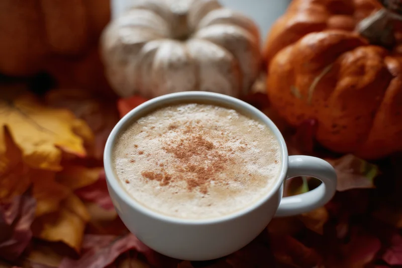 White coffee cup with frothy cinnamon latte nestled among pumpkins and autumn leaves on a table