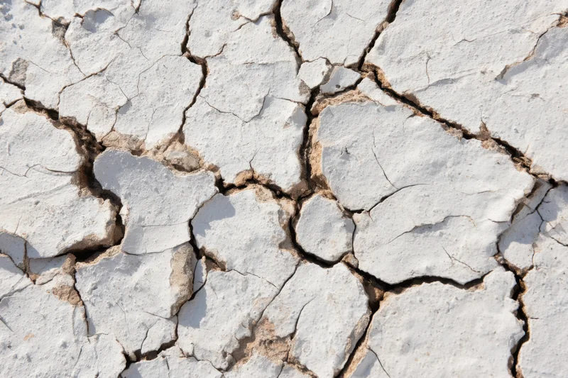 Cracked white soil surface showing dry earth texture with intricate fissures