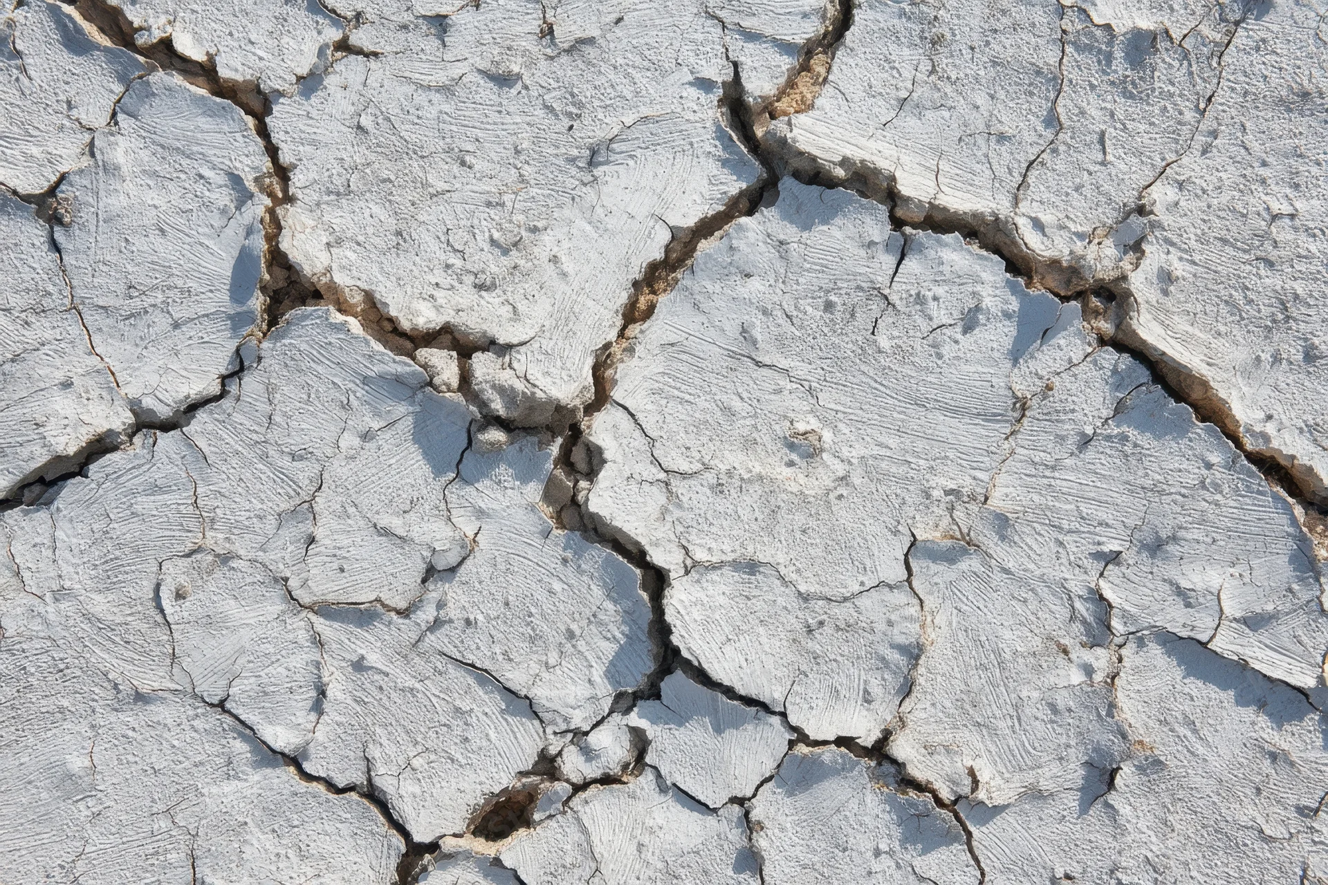 Cracked white dry soil surface showing intricate fissure patterns in arid terrain