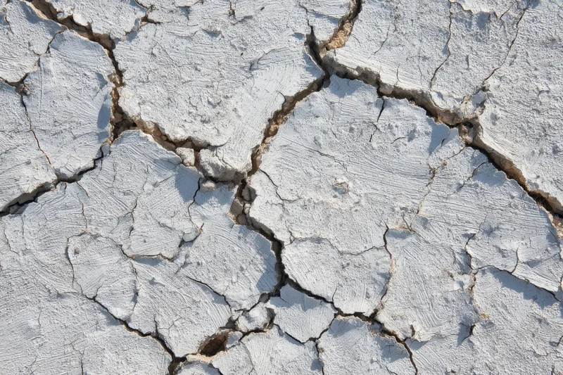 Cracked white dry soil surface showing intricate fissure patterns in arid terrain