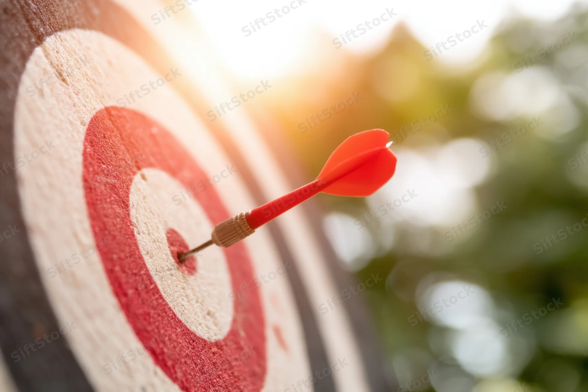 Red dart striking the center of a dartboard outdoors with sunlight and blurred greenery in the background