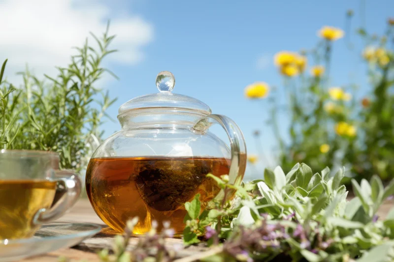 Glass teapot and teacup filled with amber herbal tea on wooden table surrounded by garden herbs and wildflowers under sunlight