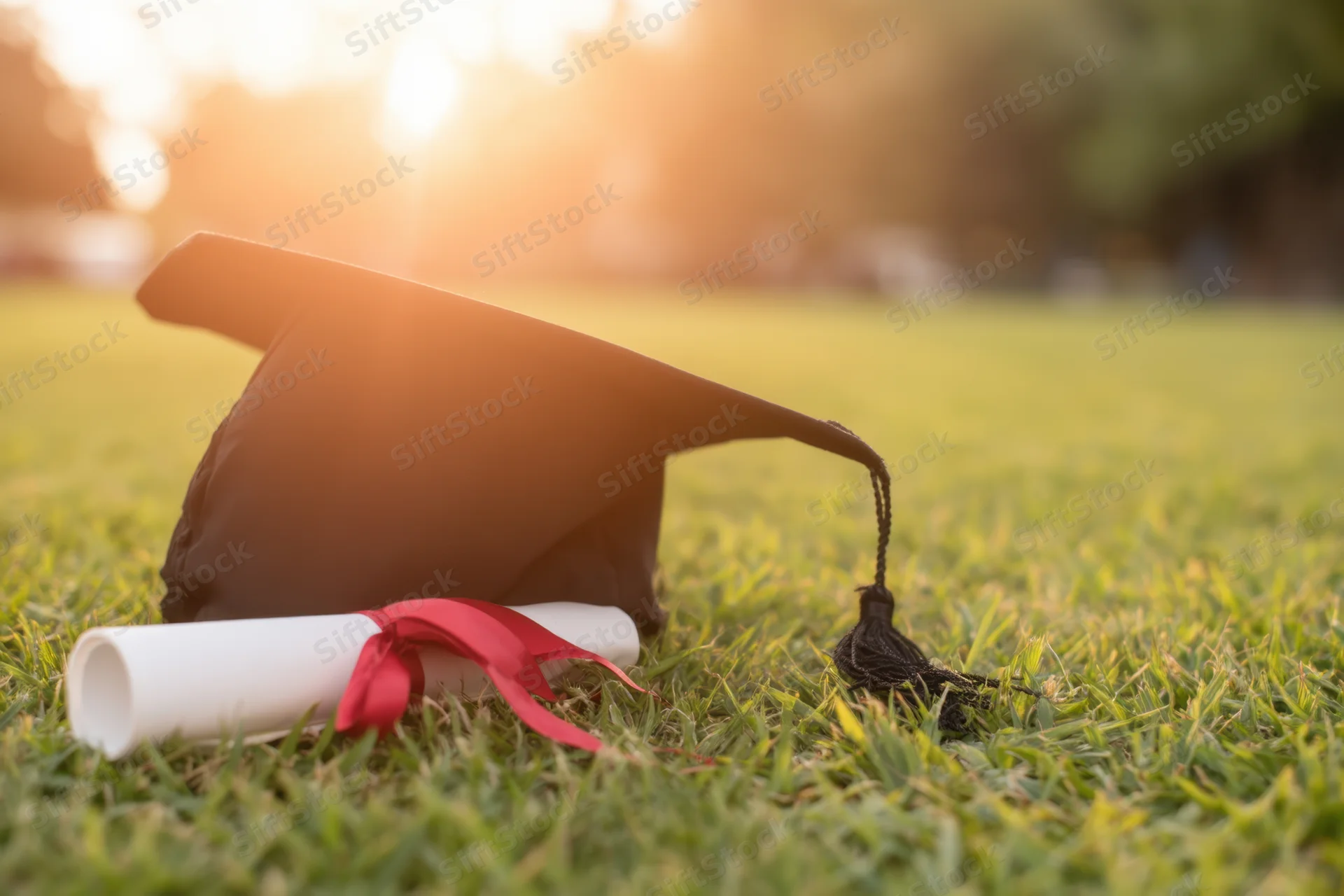 Graduation cap and diploma scroll resting on grassy field at sunset