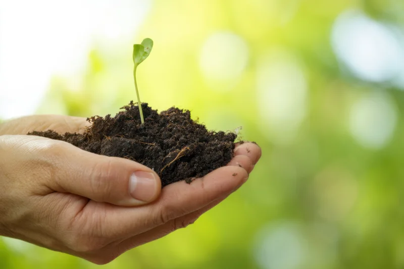 Hand cradling a small green seedling emerging from soil against a blurred green background