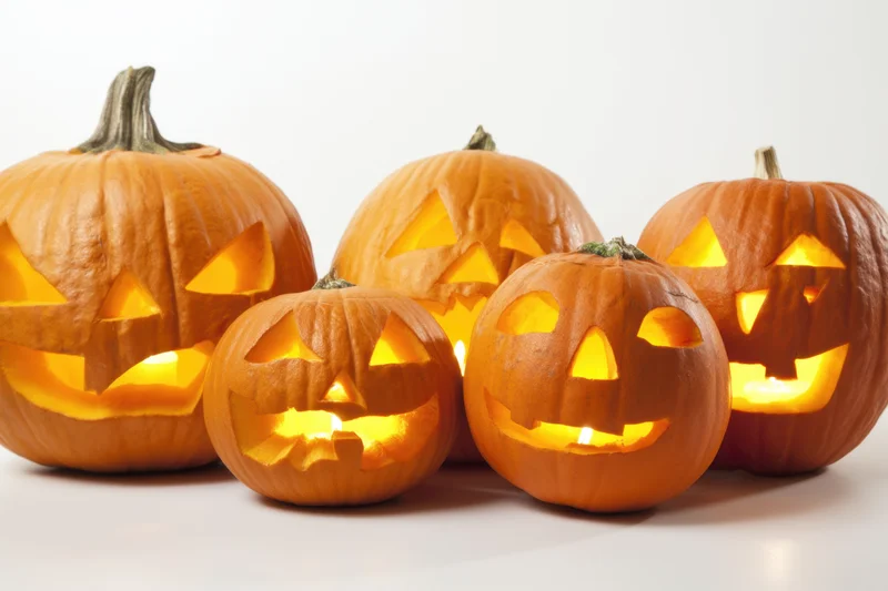 Five carved pumpkins with glowing faces arranged in a lineup on a white surface