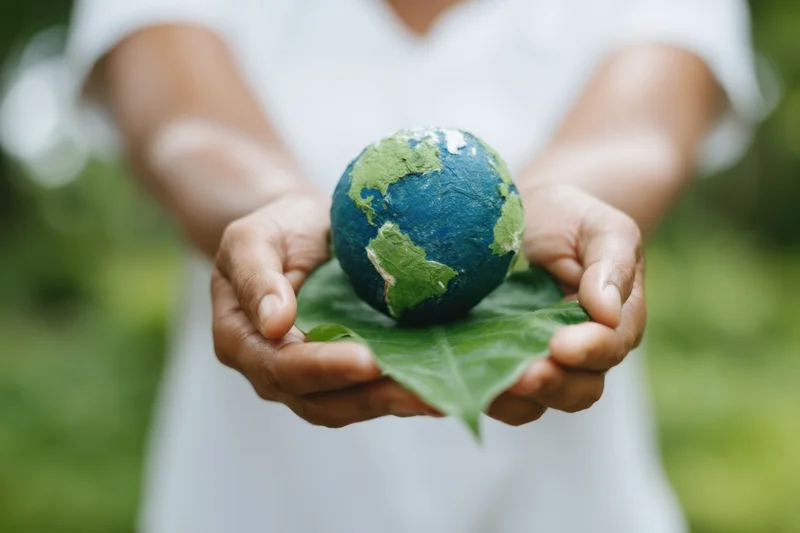 Hands holding a papermache globe resting on a green leaf outdoors