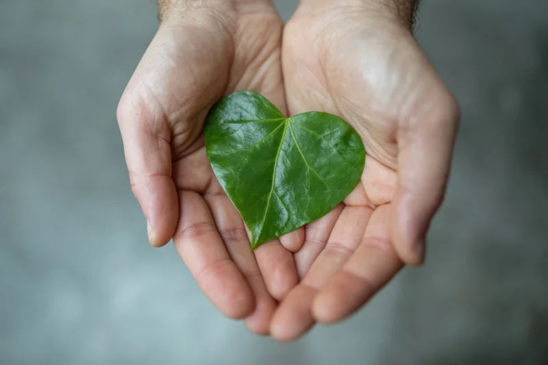 Hands holding a green heart-shaped leaf in palm against blurred background