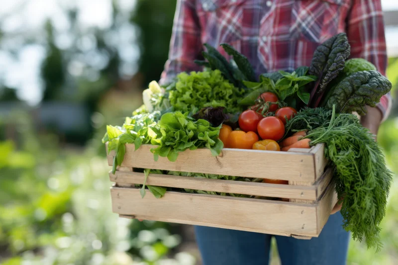 Person holding wooden crate filled with fresh vegetables in garden