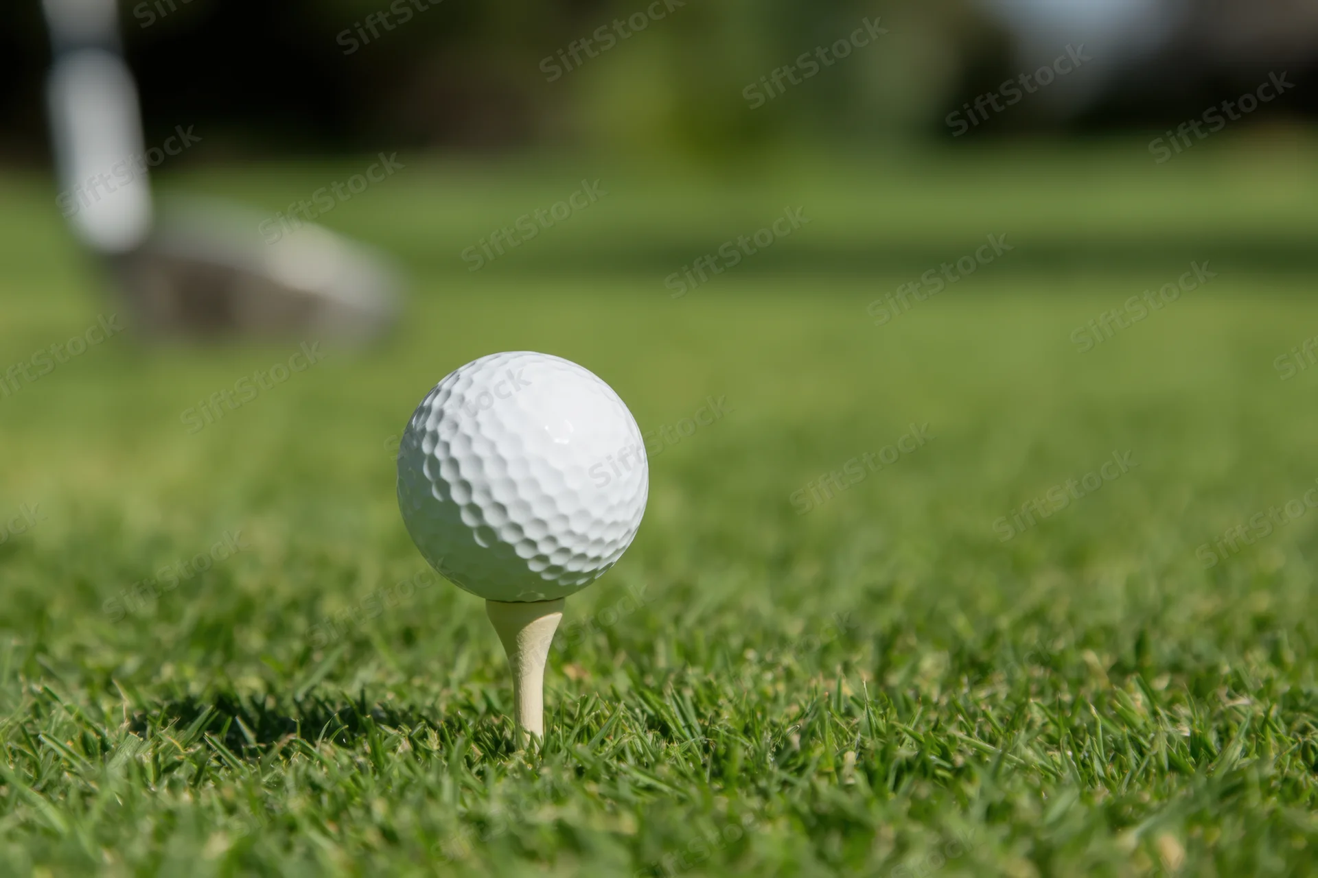 Golf ball on tee in green grass with blurred club in background