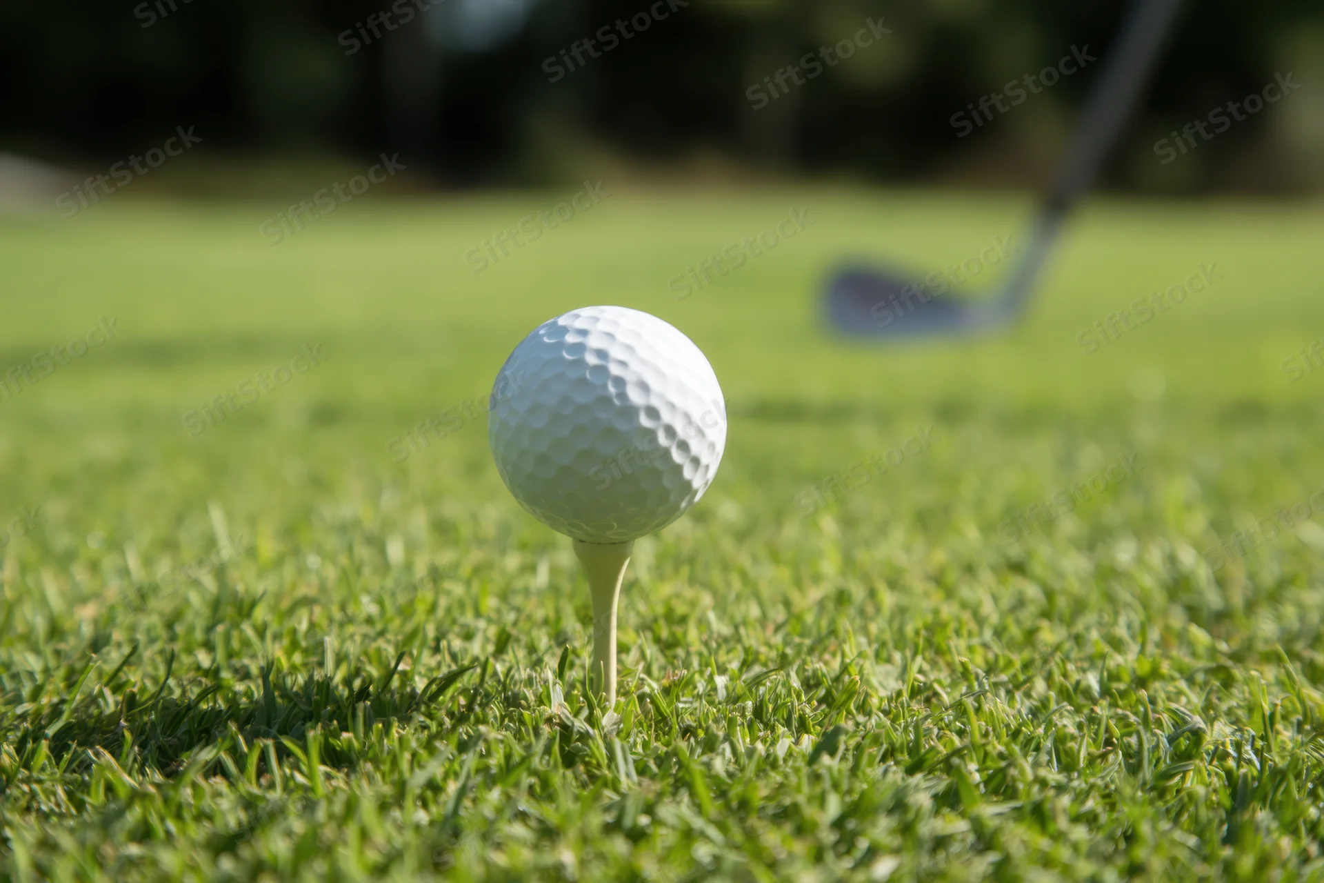 Golf ball on tee in lush green grass with golf club in background