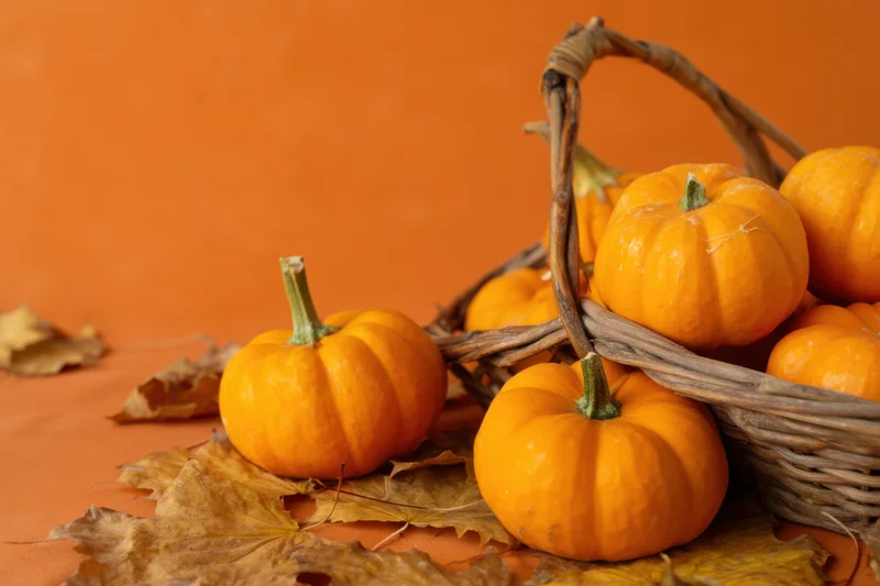 Small orange pumpkins arranged in a wicker basket with dried leaves on an orange surface