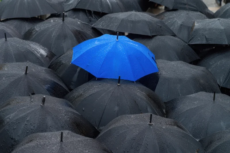 A single blue umbrella standing out among a crowd of black umbrellas in the rain