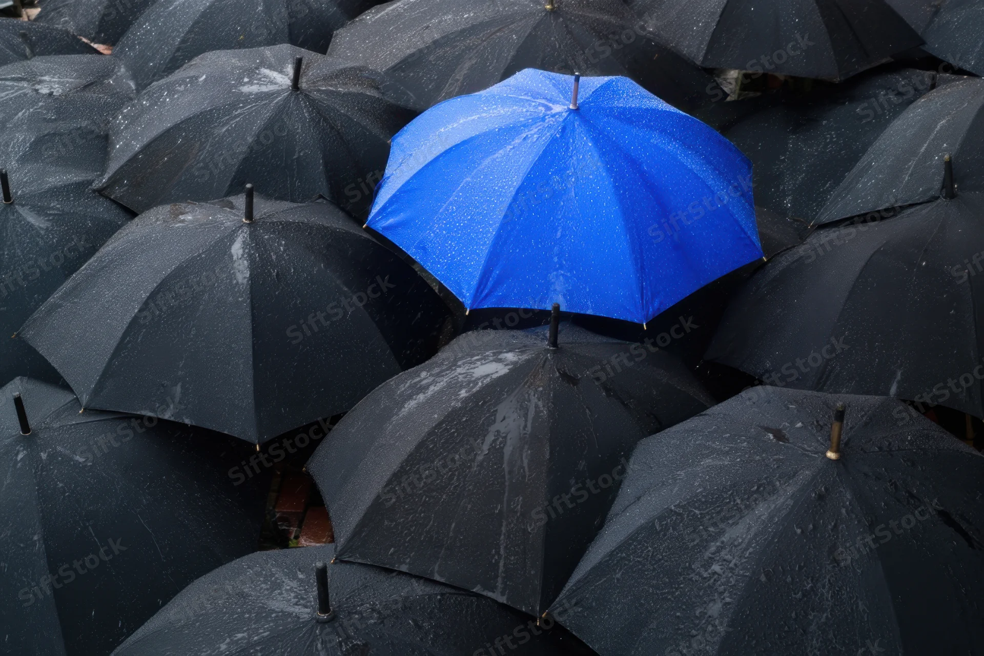 A blue umbrella standing out among a crowd of black umbrellas glistening with raindrops in an urban setting