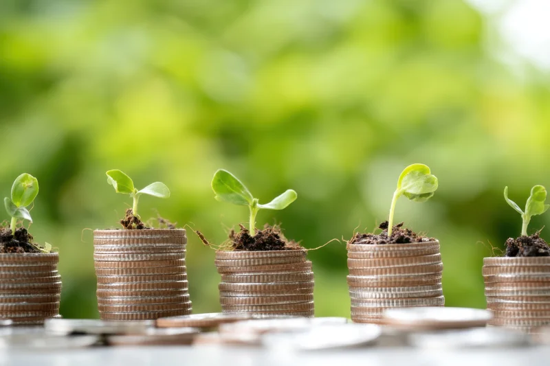 Stacks of coins with small green plants sprouting from soil on top, arranged in a row against a blurred green background
