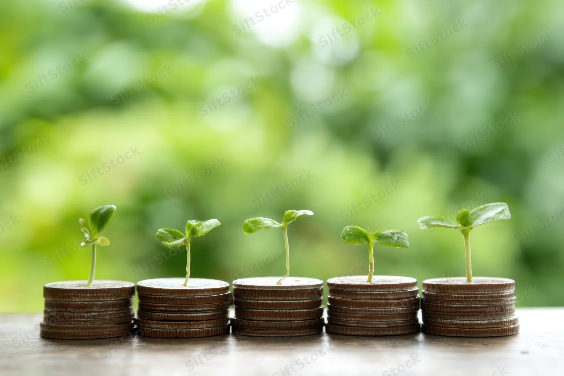 Stacks of coins with small green plants sprouting from each, arranged in a row on a wooden surface against a blurred green background