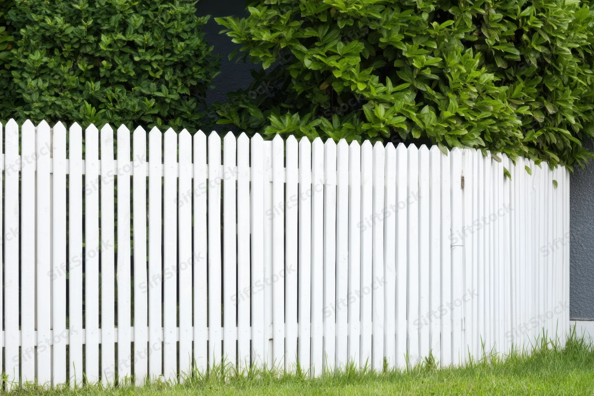 White picket fence along a grassy yard with green shrubs behind it