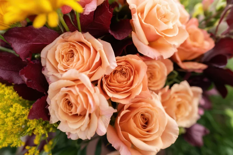 Close-up of a vibrant bouquet of peach roses with yellow and burgundy accents arranged in a floral display