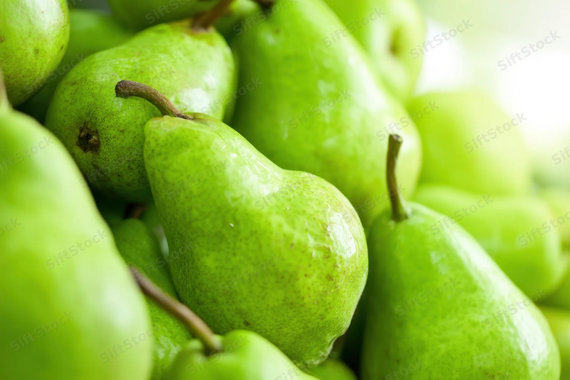 A pile of fresh green pears with smooth skin and stems arranged closely together