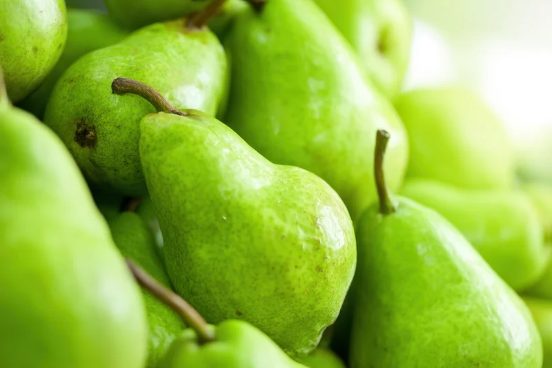 A pile of fresh green pears with smooth skin and stems arranged closely together