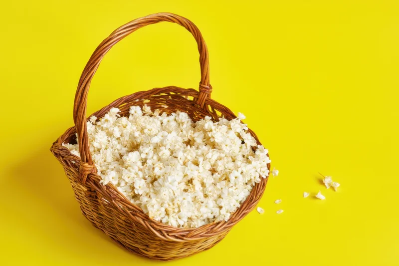 Wicker basket filled with white flowers on yellow background