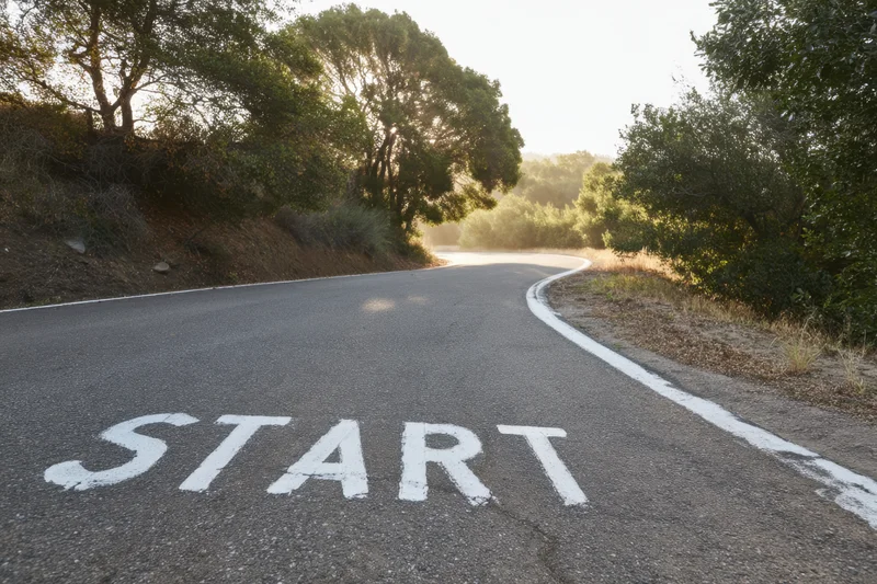 Winding asphalt road with white line and start painted on surface at dawn surrounded by trees