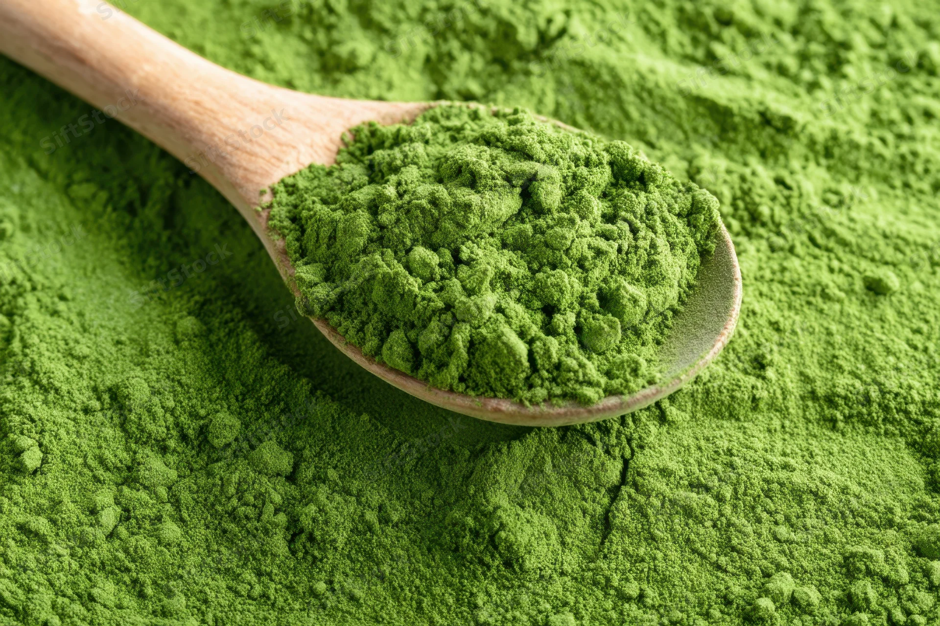 Wooden spoon filled with vibrant green matcha powder resting on a bed of the same powder
