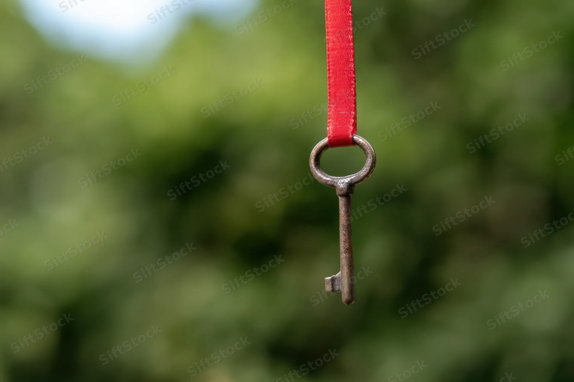 Antique key hanging from red ribbon against blurred green foliage