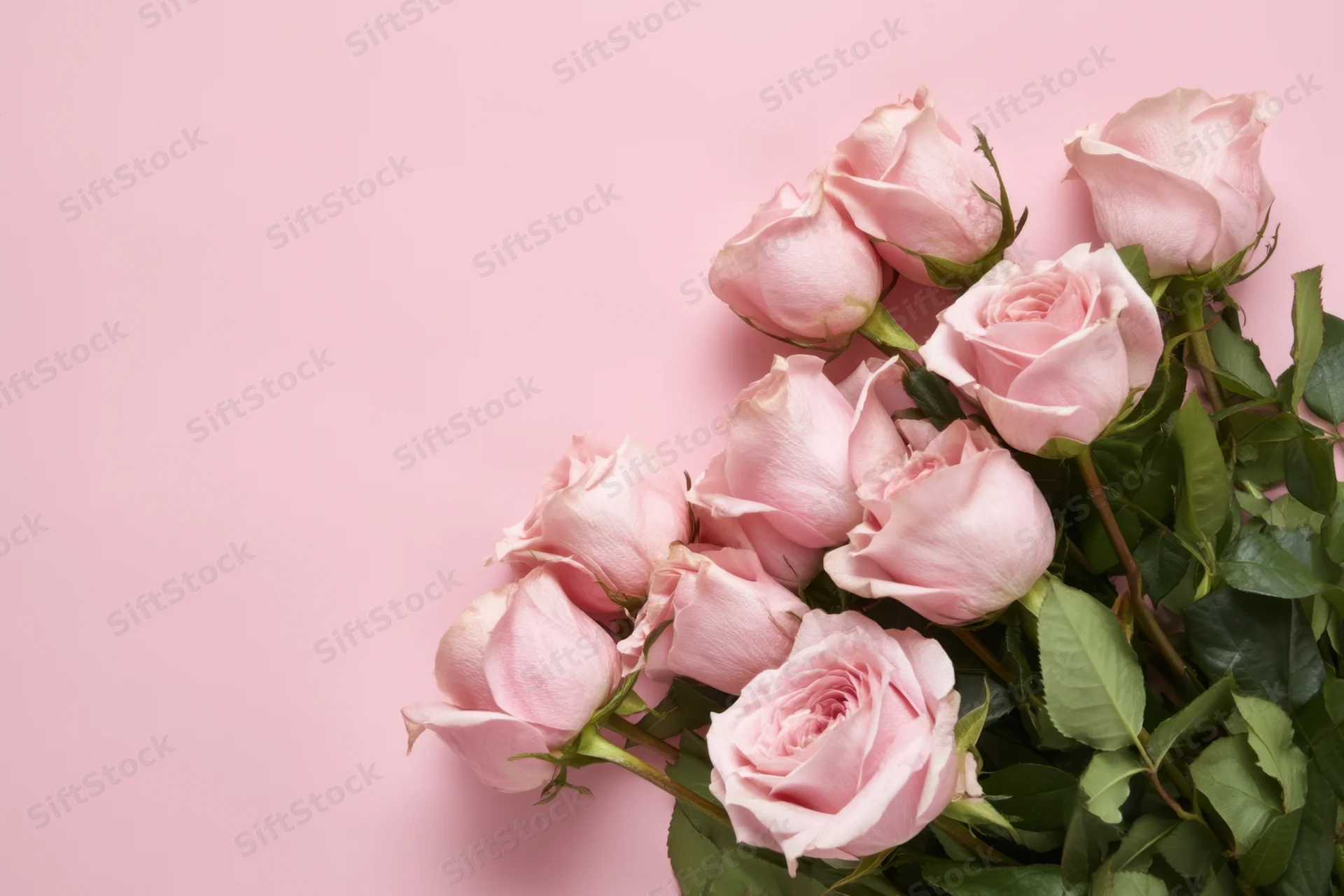 Pink roses arranged in a bouquet on a soft pink background with copyspace