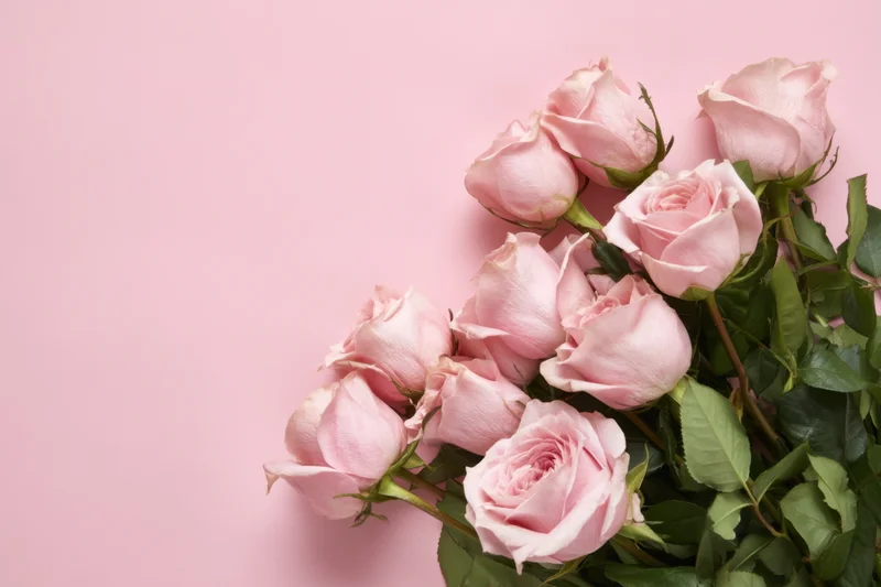 Pink roses arranged in a bouquet on a soft pink background with copyspace