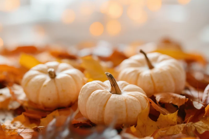 Three pale pumpkins nestled among autumn leaves on a softly lit surface